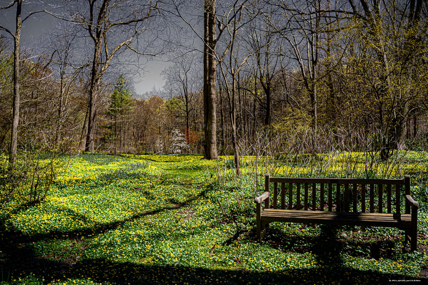 Sitting in Nature