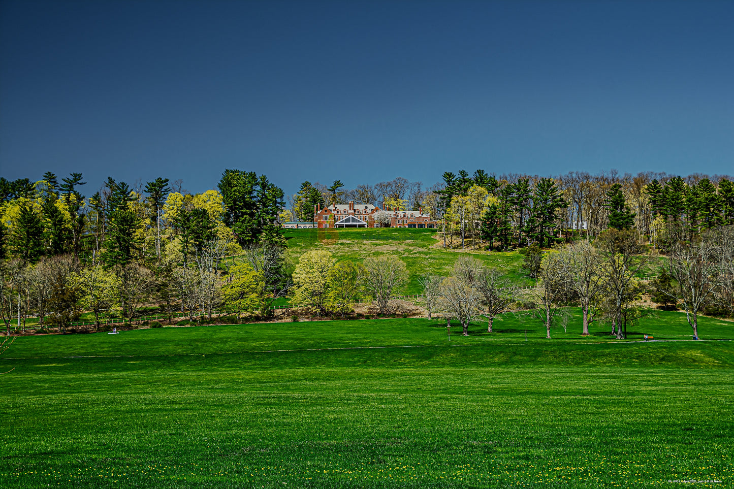 Plain Fields